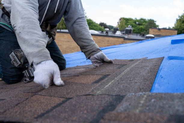 Best Storm Damage Roof Repair  in Waukee, IA